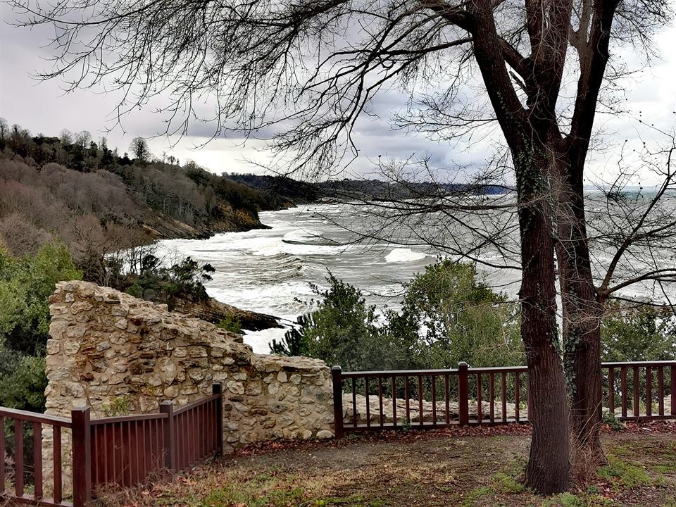 Ceneviz Kalesi